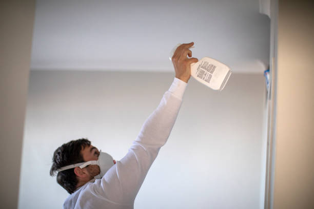 Best Emergency Mold Removal  in Holt, MI